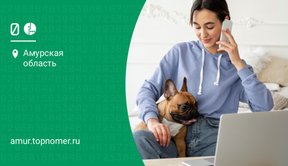 К семье в МегаФон можно подключать номера любого региона